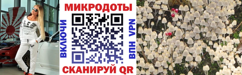 Галлюциногенные грибы мицелий  Черемхово 